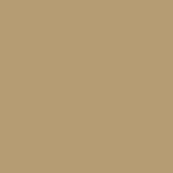 Light Brown Cashmere Scarf