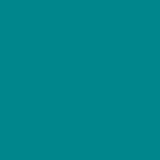 Turquoise Satin Jewel Buckle Mules