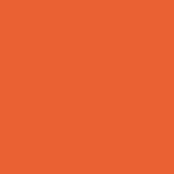 Bright Orange Cashmere Scarf