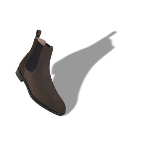 DELSA